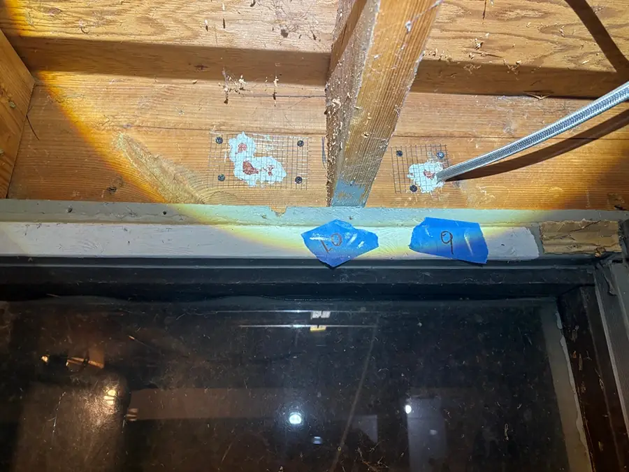 Crawl space access and joist penetrations sealed with wire mesh and copper mesh during a Peak Pro rodent exclusion