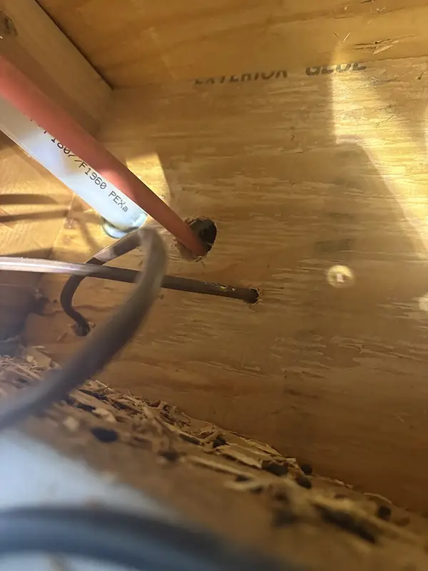 Rodent Remediation in Yakima: When an Abandoned Remodel Becomes a Category 3 Cleanup