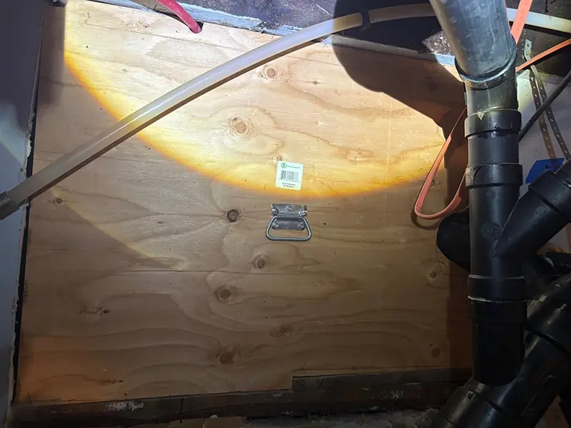 Real-Life Horror Story: The Crawlspace and Bird Nest Disaster